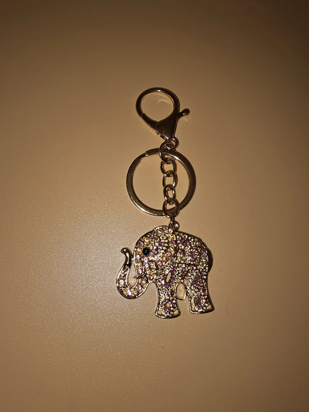 Assorted Bag Charm/Keychain (Buyer' Choice)